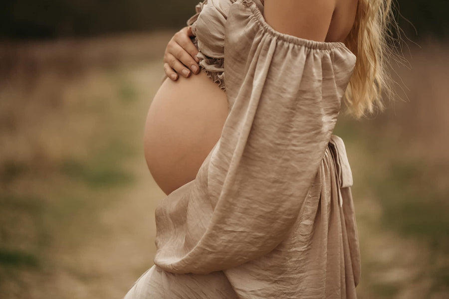 Charm Silk Maternity Dress for Photoshoot