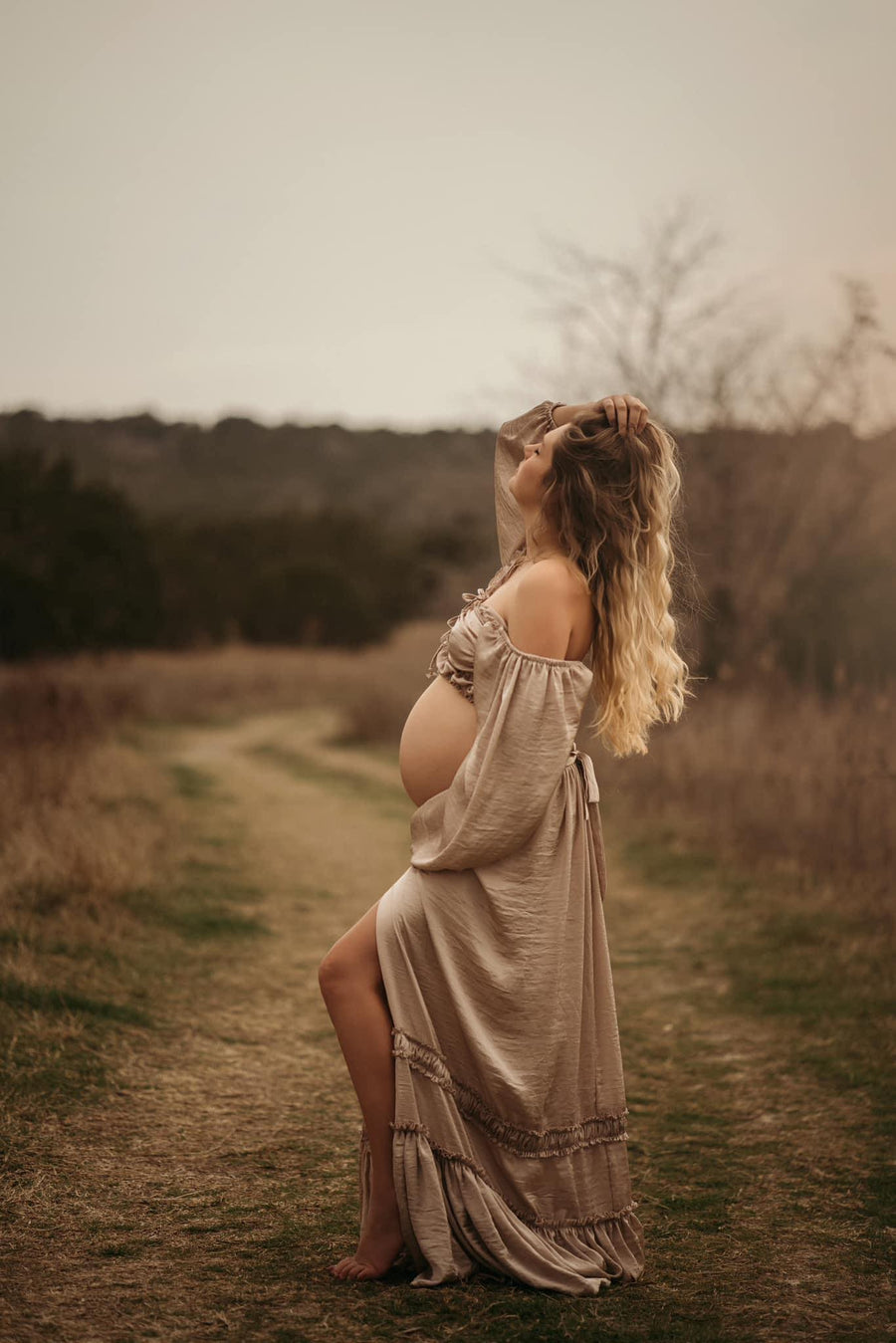 Charm Silk Maternity Dress for Photoshoot